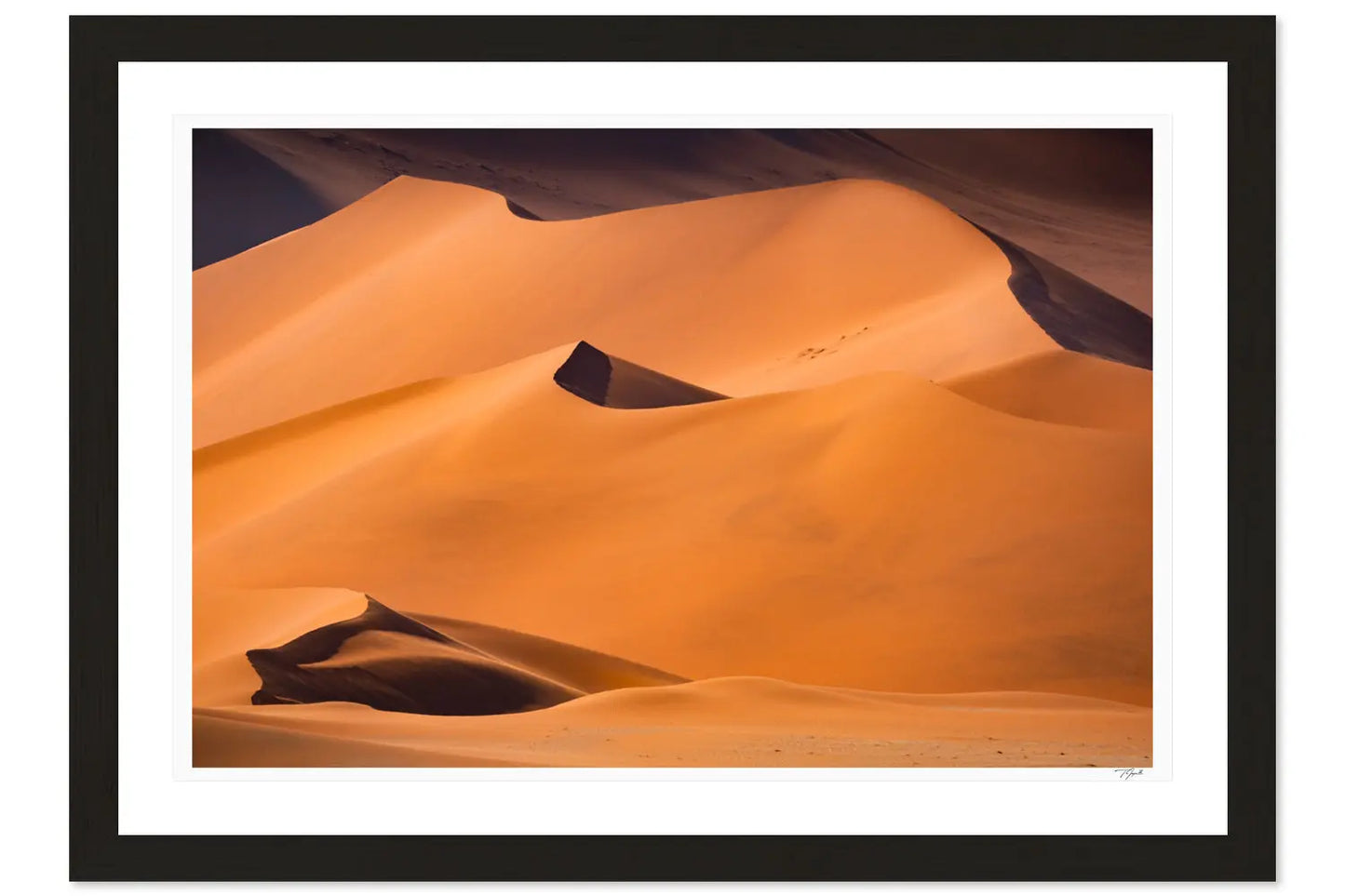 Namib Desert - Tommy Joyce