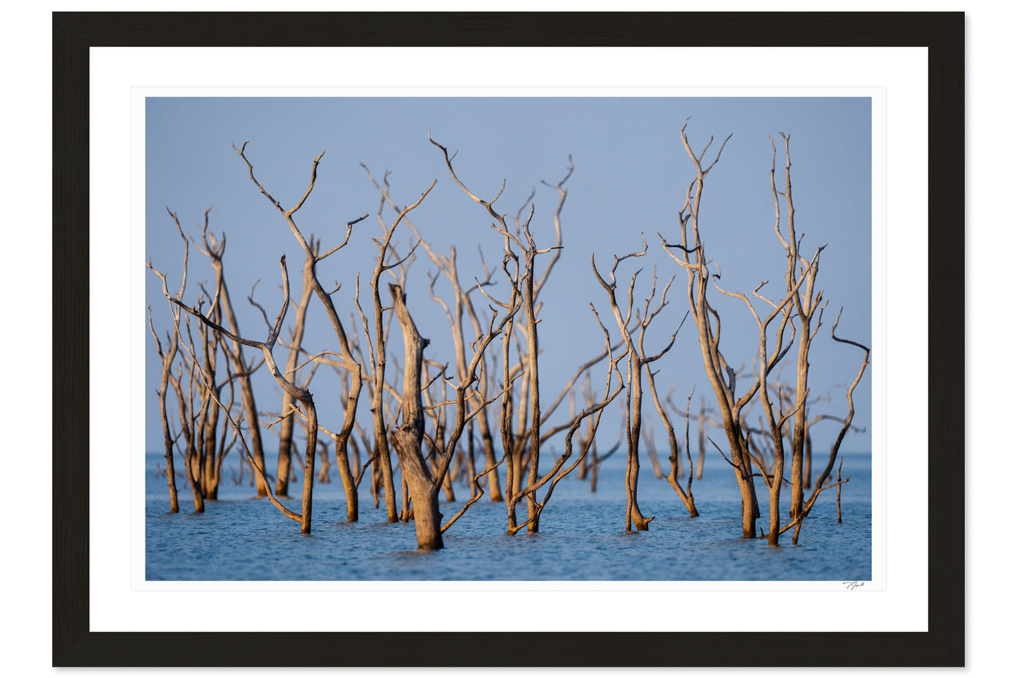 Kariba Blues