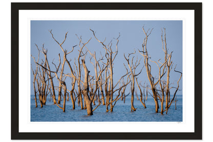 Kariba Blues