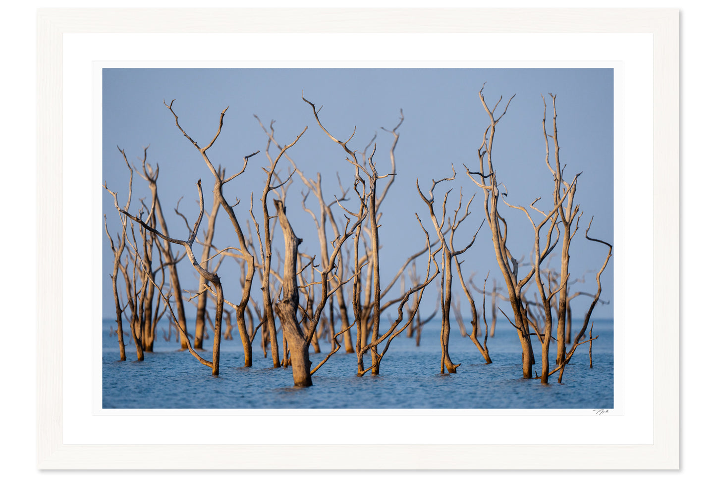 Kariba Blues