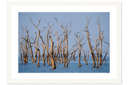 Kariba Blues