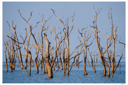 Kariba Blues