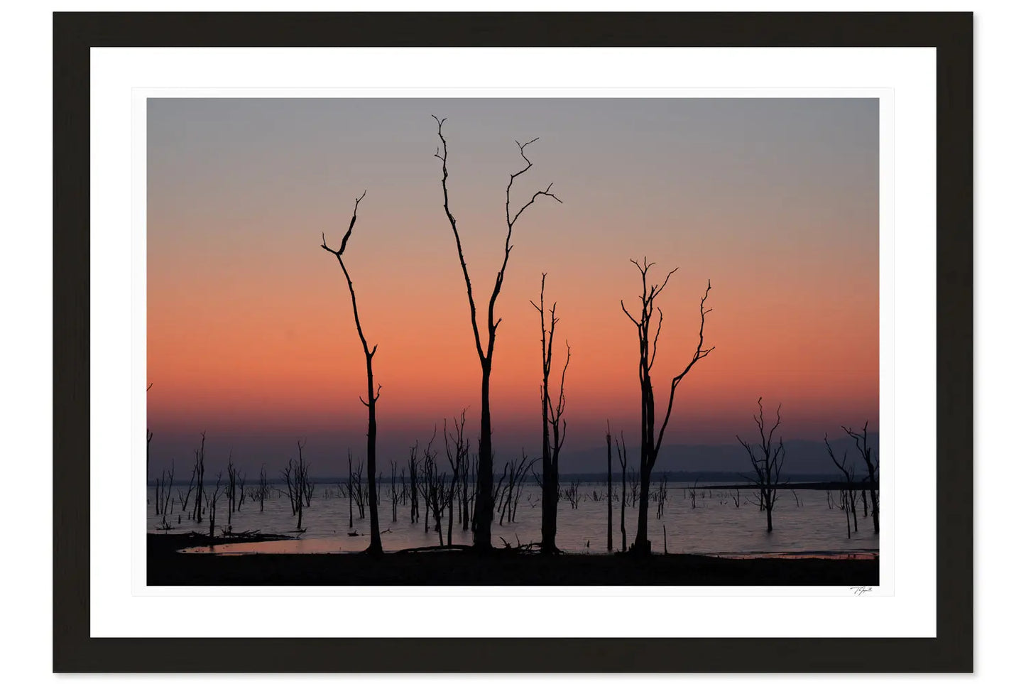 Kariba Trees - Tommy Joyce