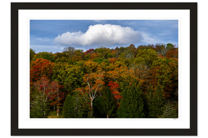 Autumn Clouds