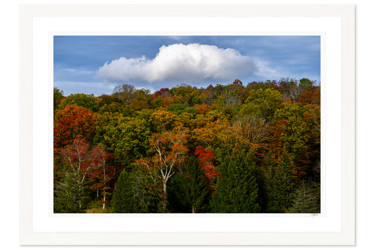 Autumn Clouds