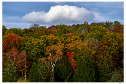 Autumn Clouds