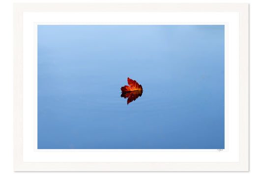 Floating Leaf