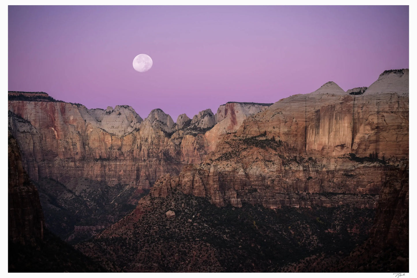 Twilight Zion - Tommy Joyce