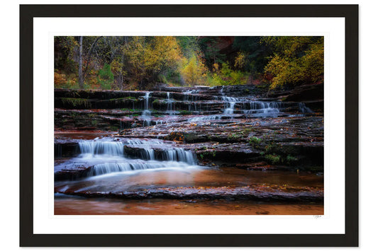 Fall Cascade - Tommy Joyce
