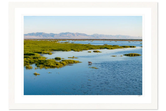 Salt Flats Sentry - Tommy Joyce