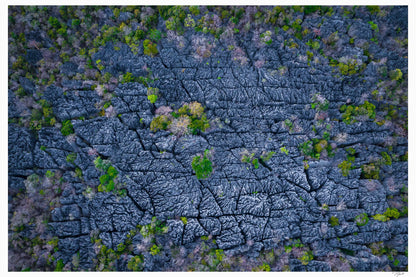 Tsingy Top Down - Tommy Joyce