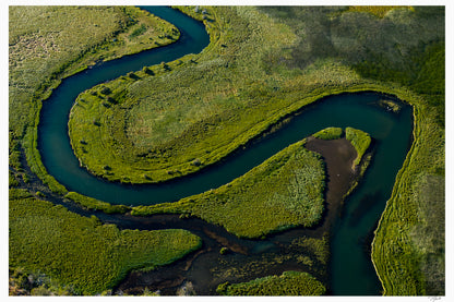 Serpentine Wetlands