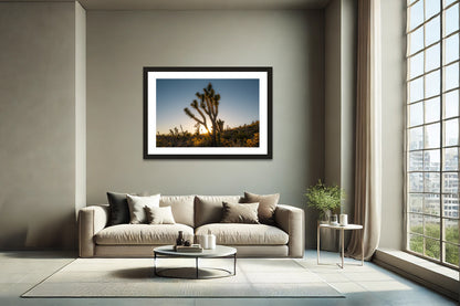 Joshua Tree